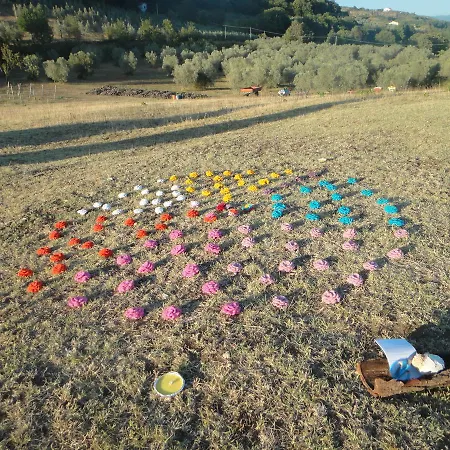 Viaggiatori D'intento
